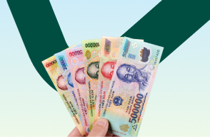 Vietnamese currency notes