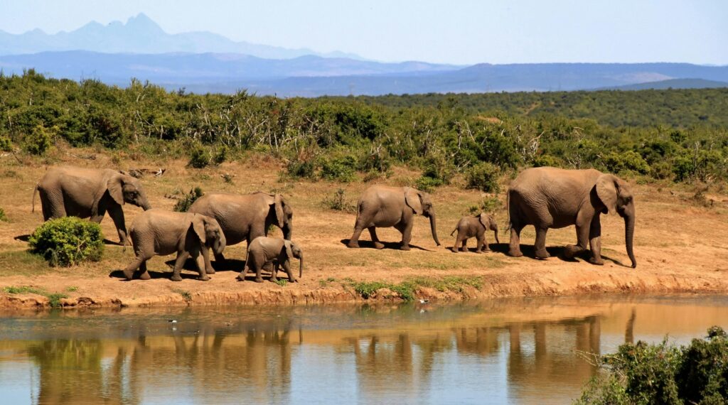 Places to visit in South Africa