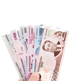 north korean won